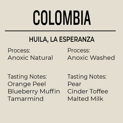 Colombia, Huila, El Carmen , Anoxic Natural & Anoxic Washed